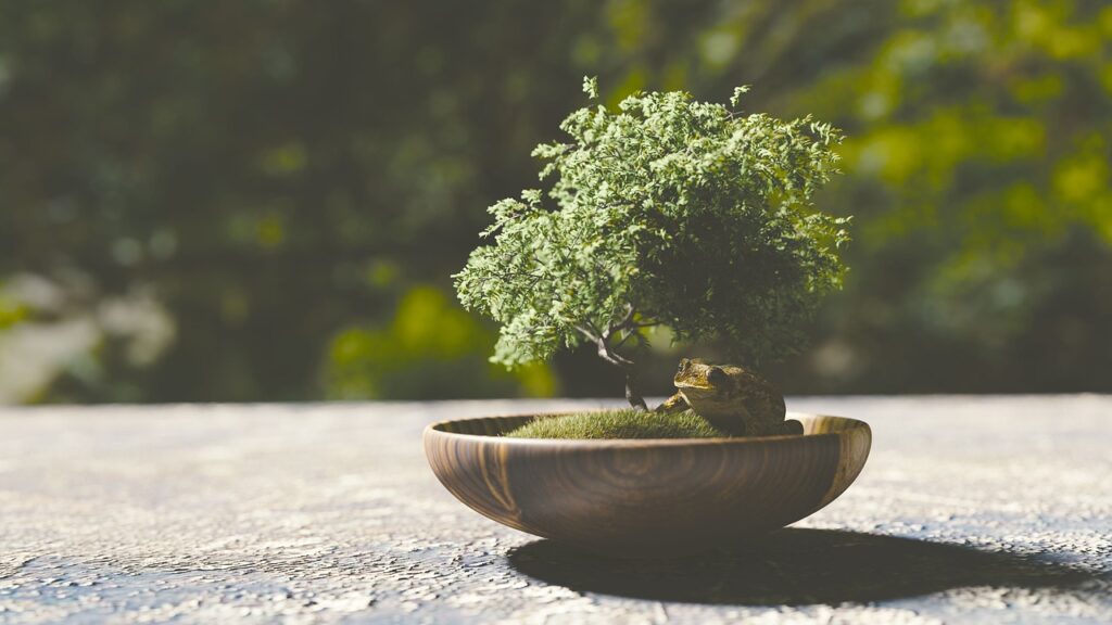 How to Start a Backyard Bonsai