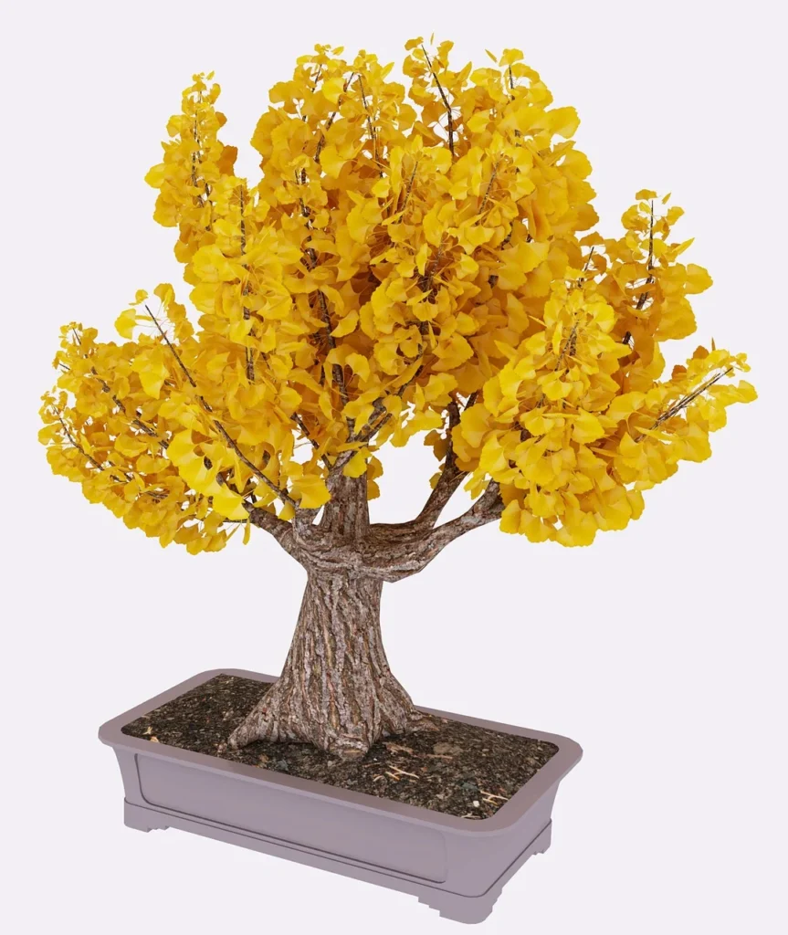 Bonsai Styles - Broom