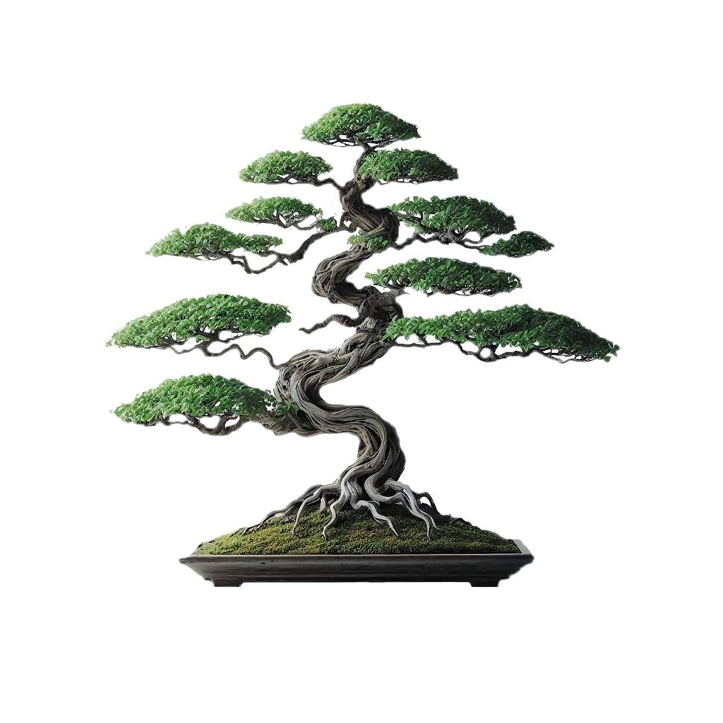 Bonsai Styles - Informal Upright