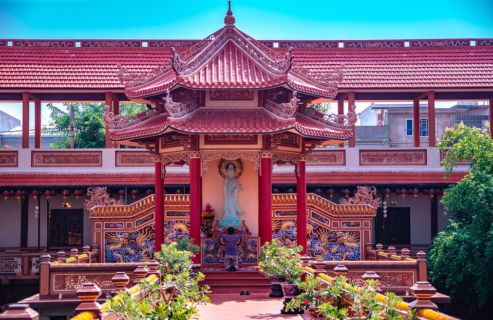 South African Bonsai Traditions & Laws 1