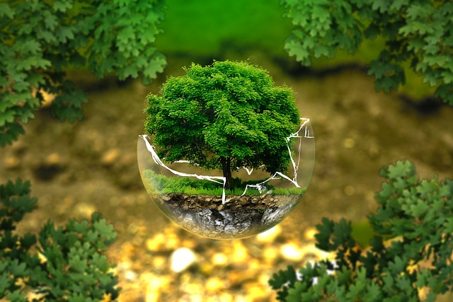 Broom Style Bonsai Guide main
