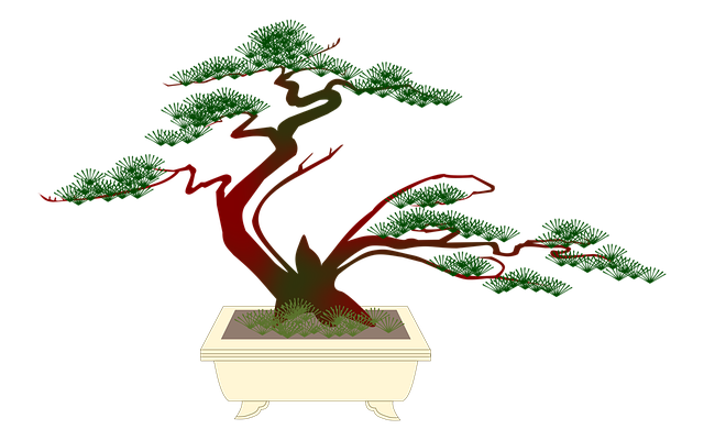 History of Bonsai 1
