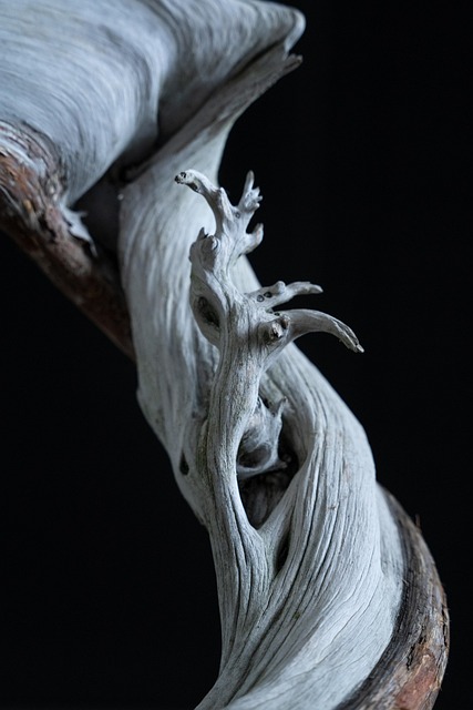 Literati style bonsai guide