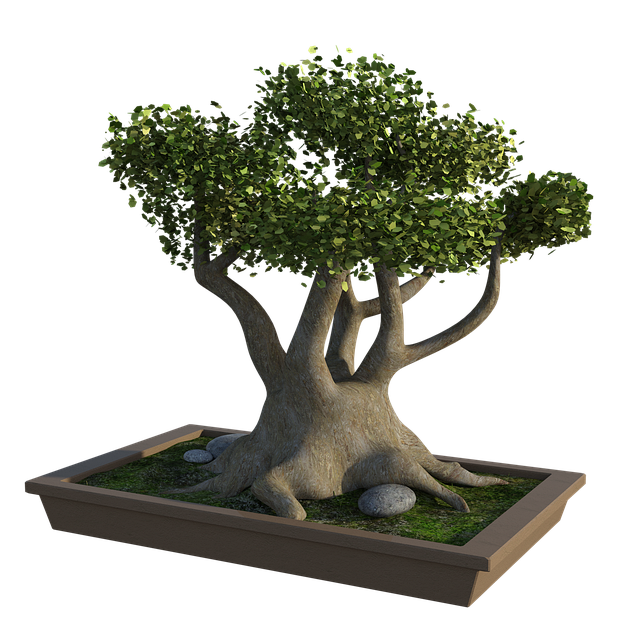 Raft style bonsai guide main