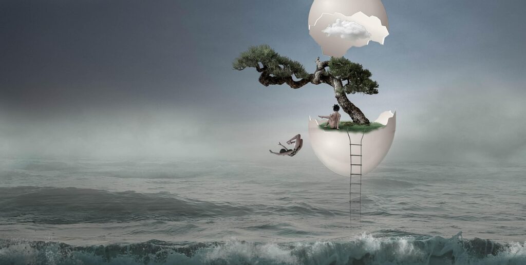 Watering a bonsai - bonsai care guide 
