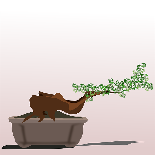 Windswept Style in Bonsai Design 2