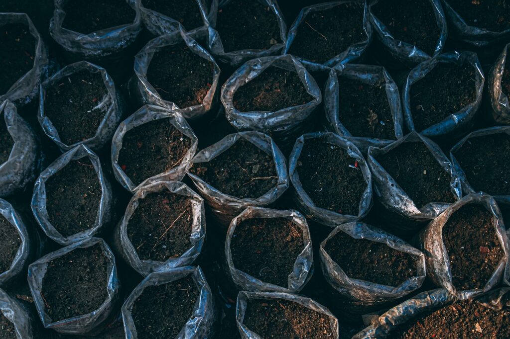 bonsai soil guide