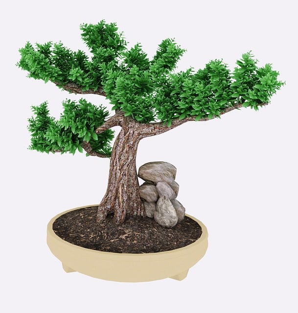 rock style bonsai 1