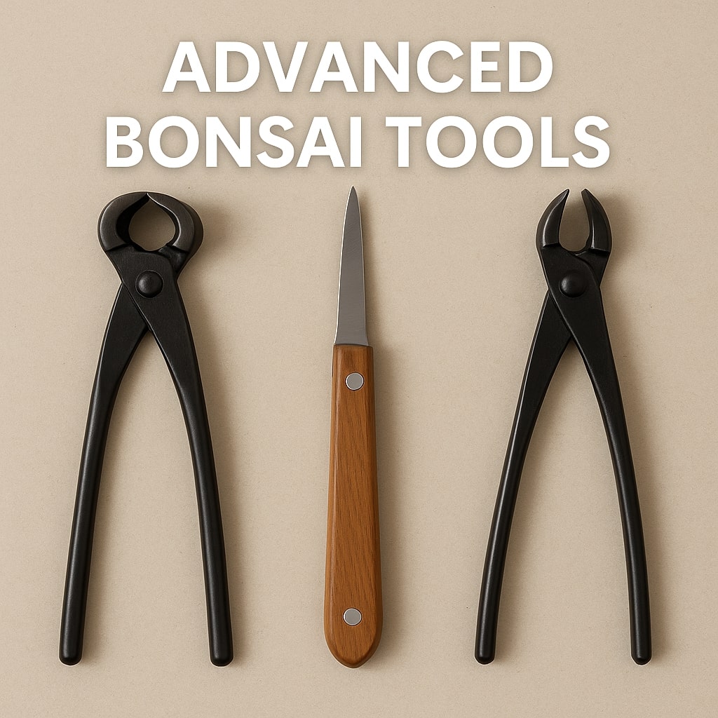 Advanced bonsai tools