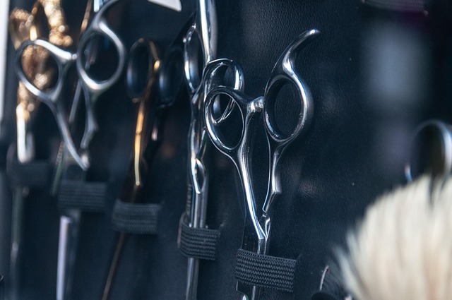 Beginner bonsai tools