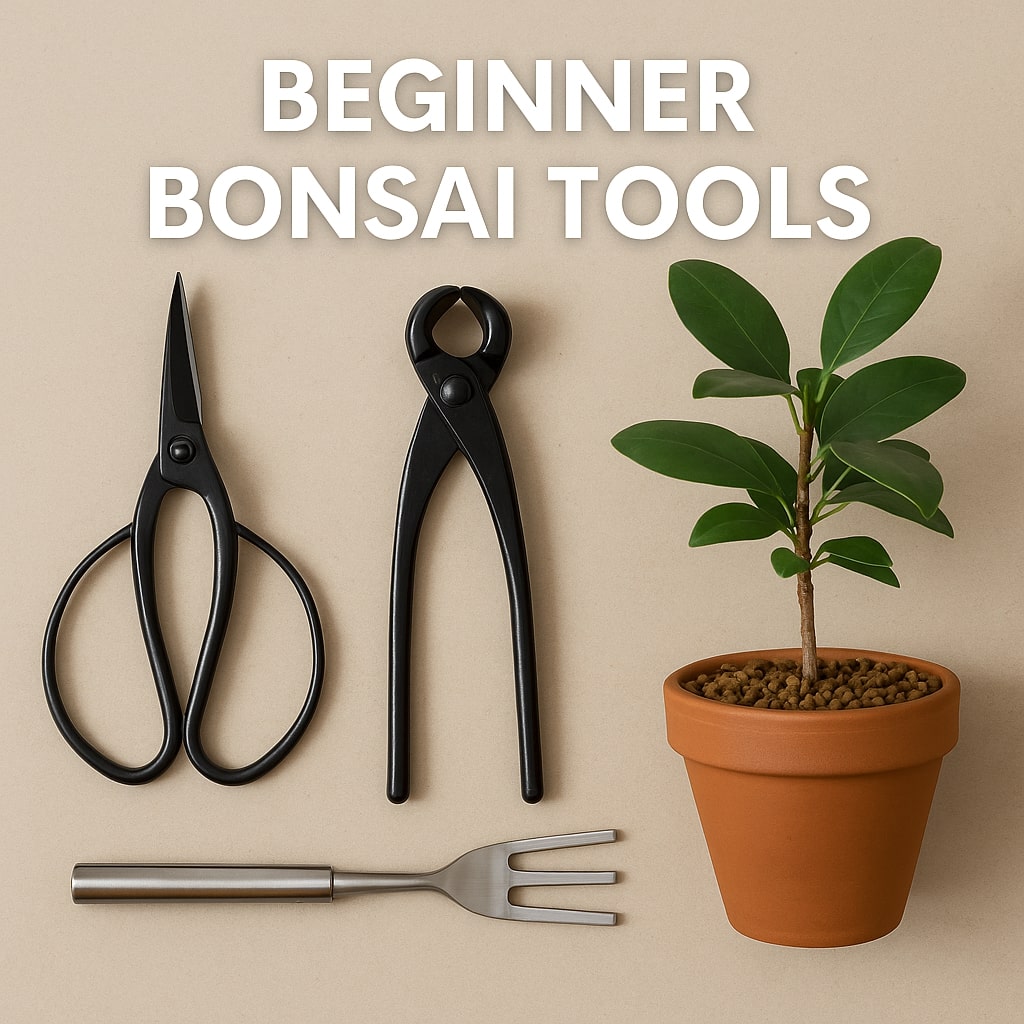 Beginner bonsai tools