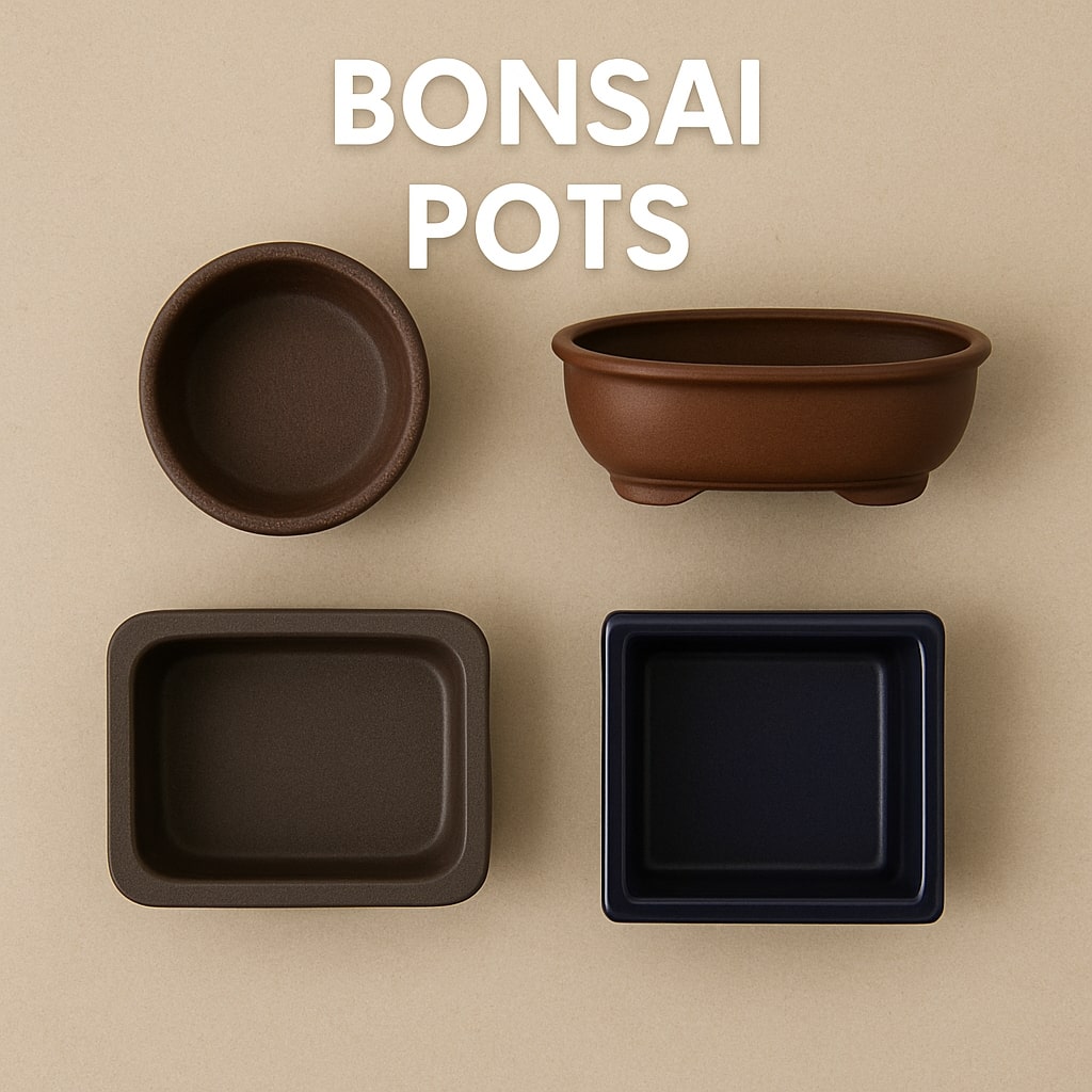 Bonsai pots