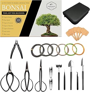Bonsai tool kits 1