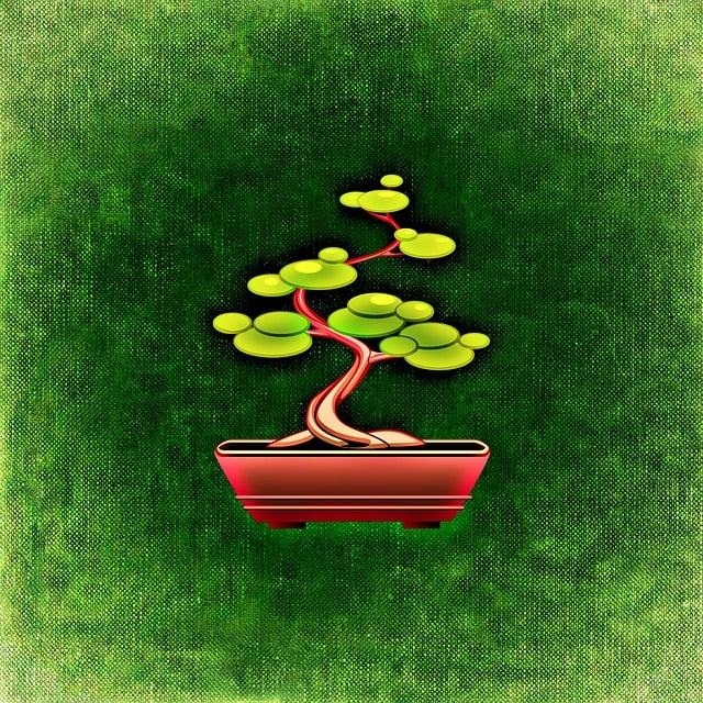 bonsai therapy page