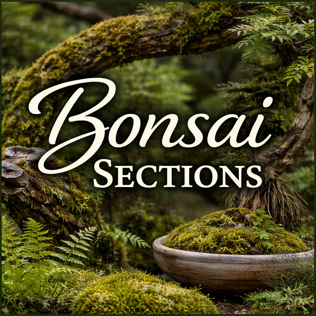 bonsai sections