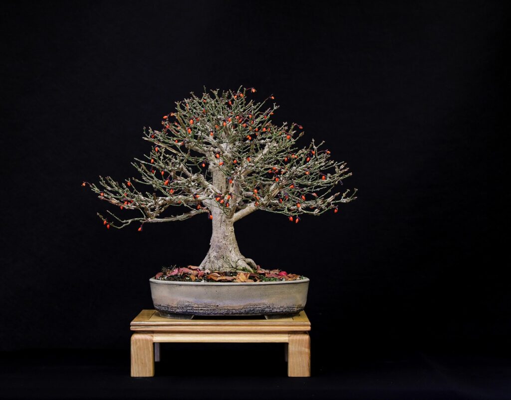 2026 Autumn Equinox seasons 