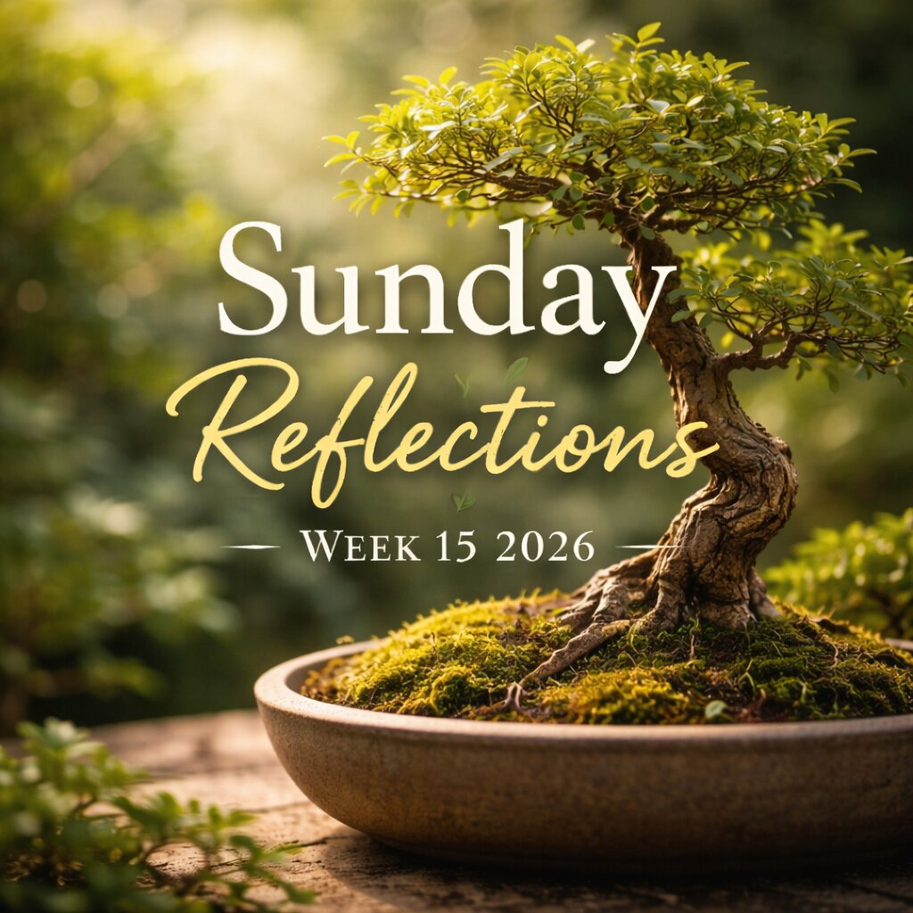 Sunday Reflections Week 15 2026