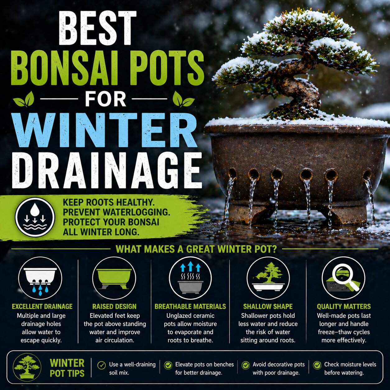 Best Bonsai Pots For Winter Drainage