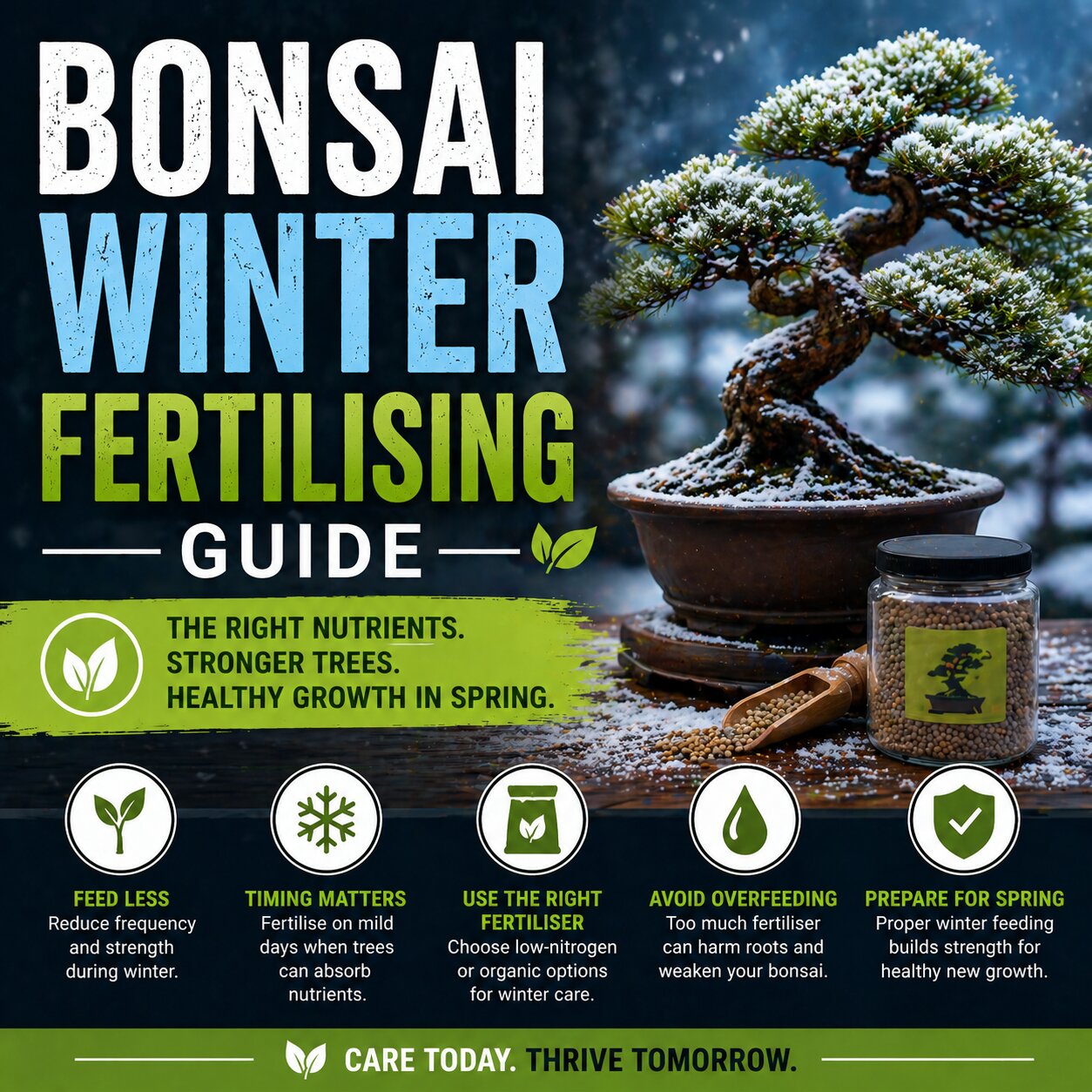 Bonsai Winter Fertilising Guide
