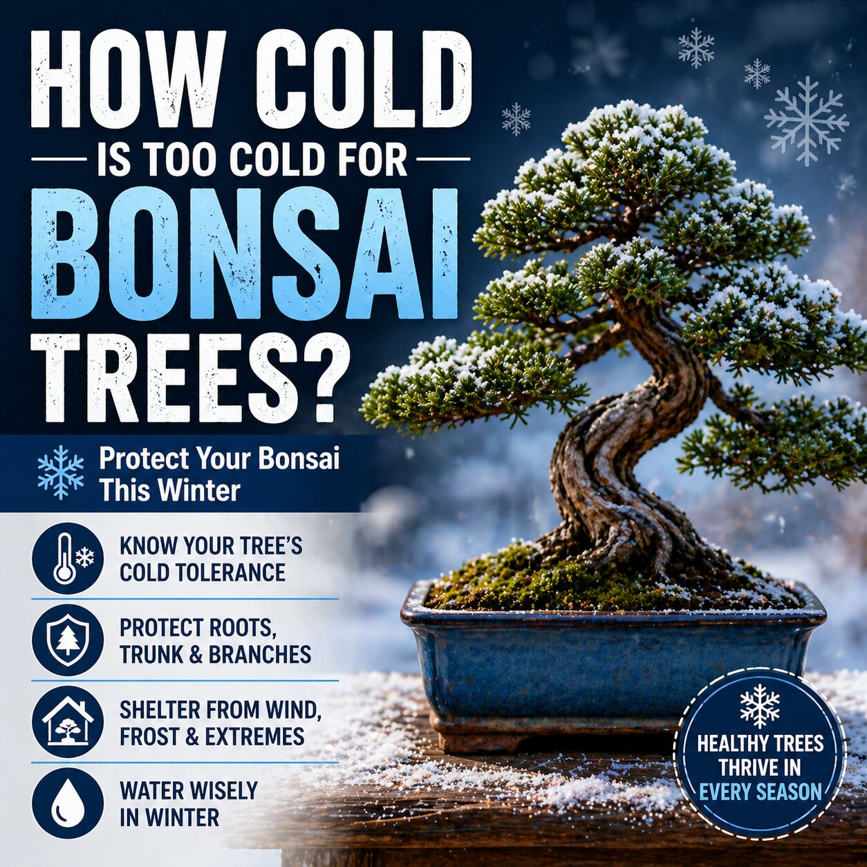 How Cold Is Too Cold For Bonsai Trees