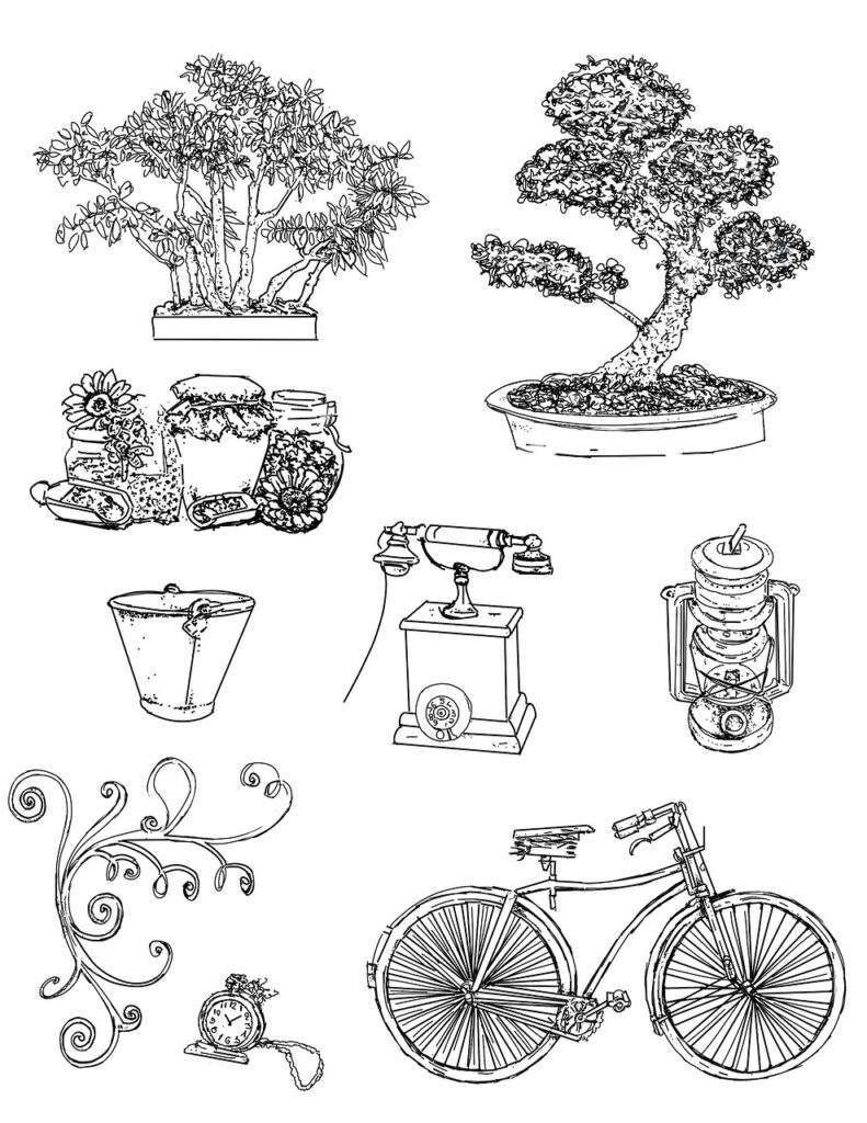 Recording Your Bonsai’s Winter Structure Through Drawing and Photography 