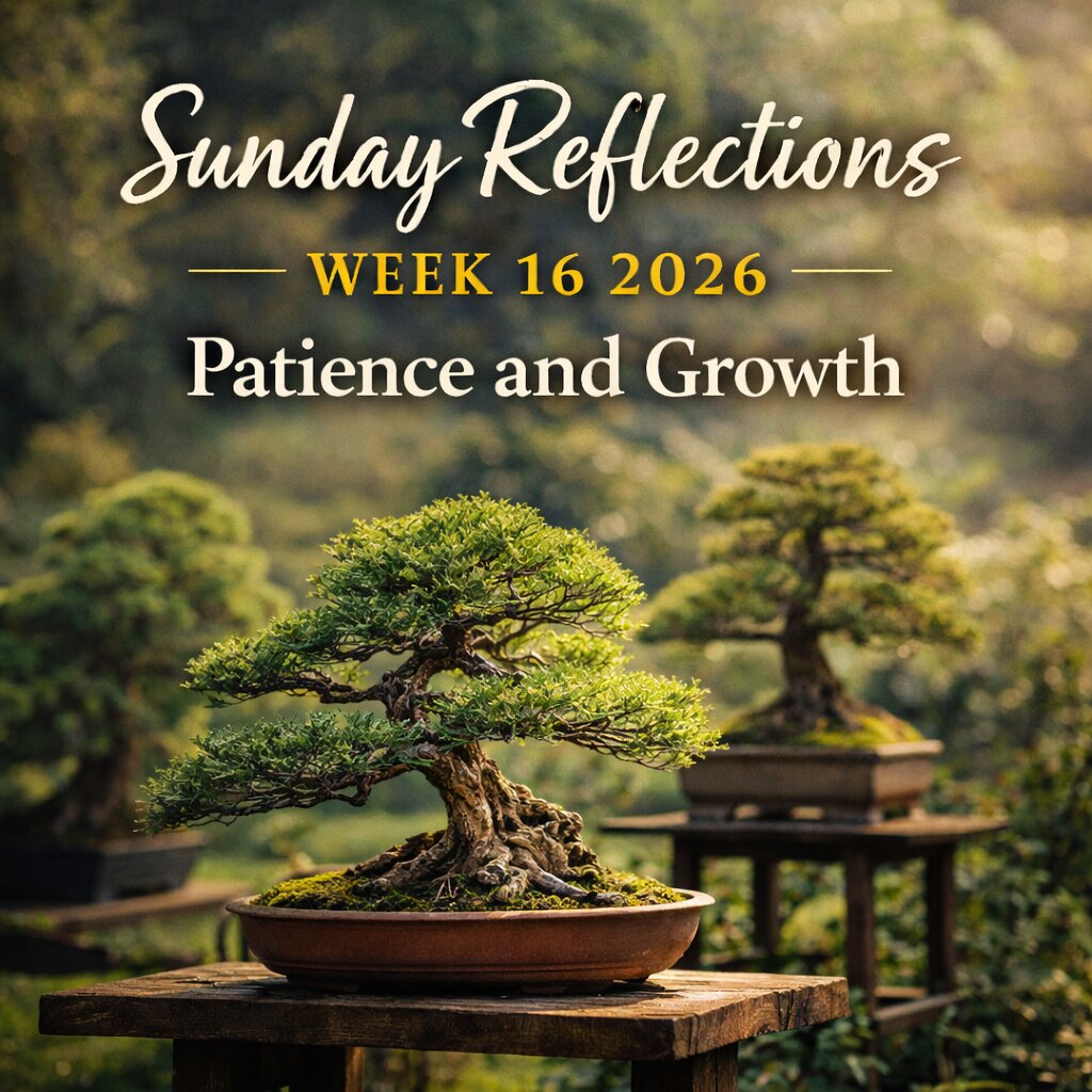 Sunday Reflections Week 16 2026 – Patience and Growth