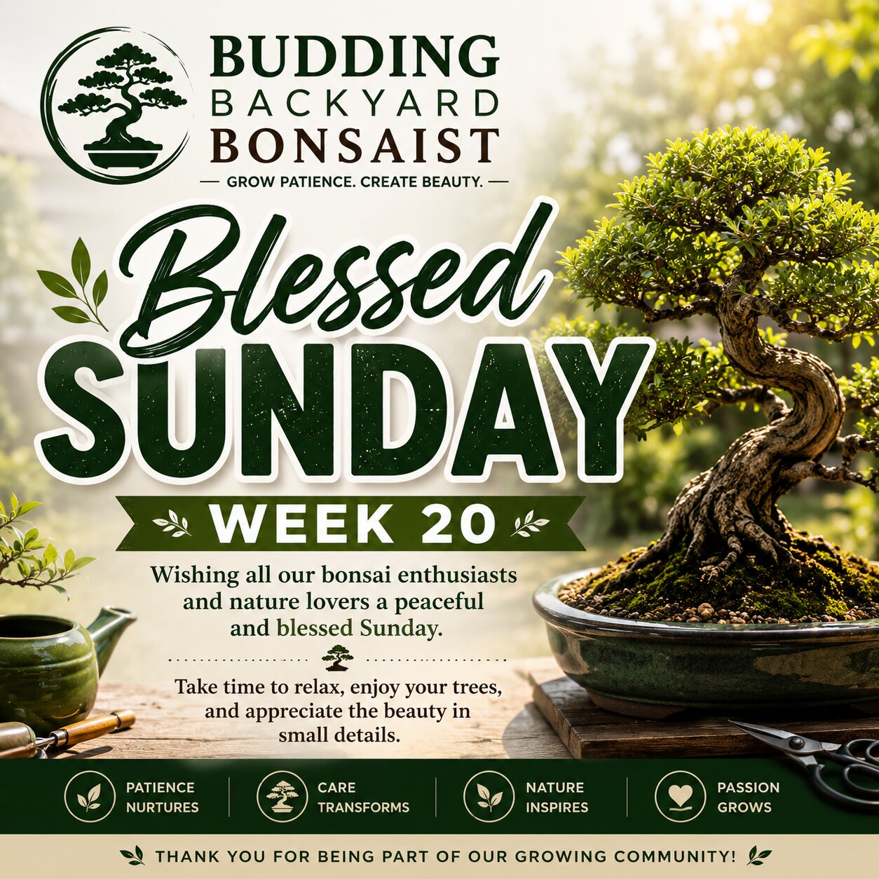 Blessed Sunday Week 20