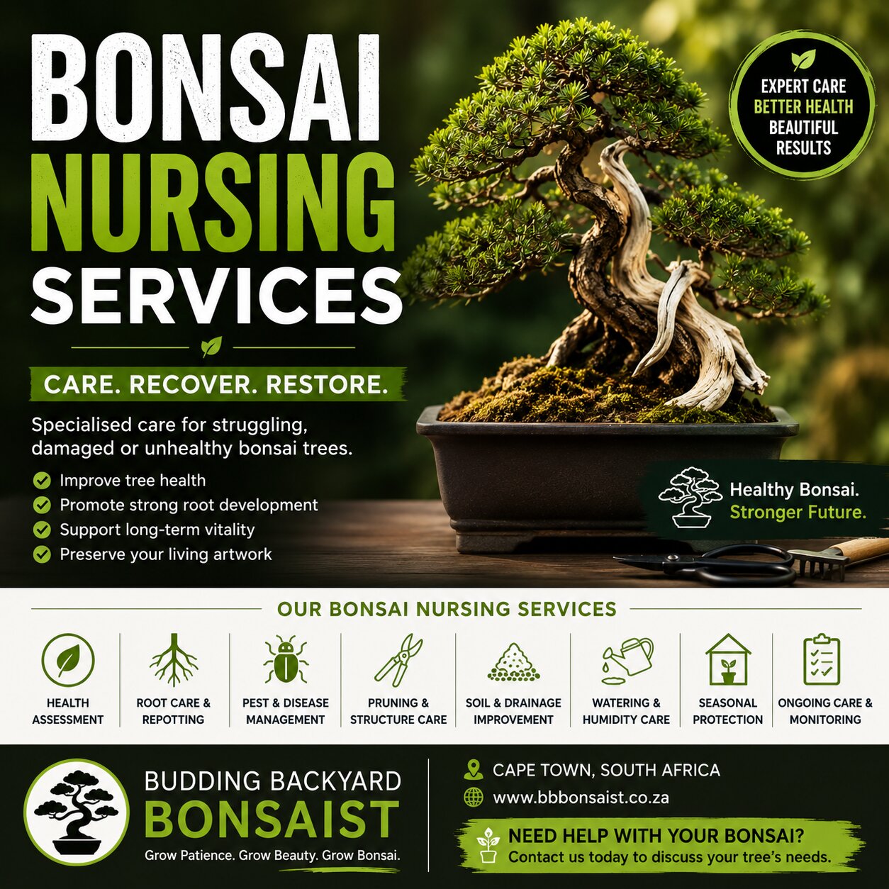 Bonsai Nursing Services For Struggling Trees