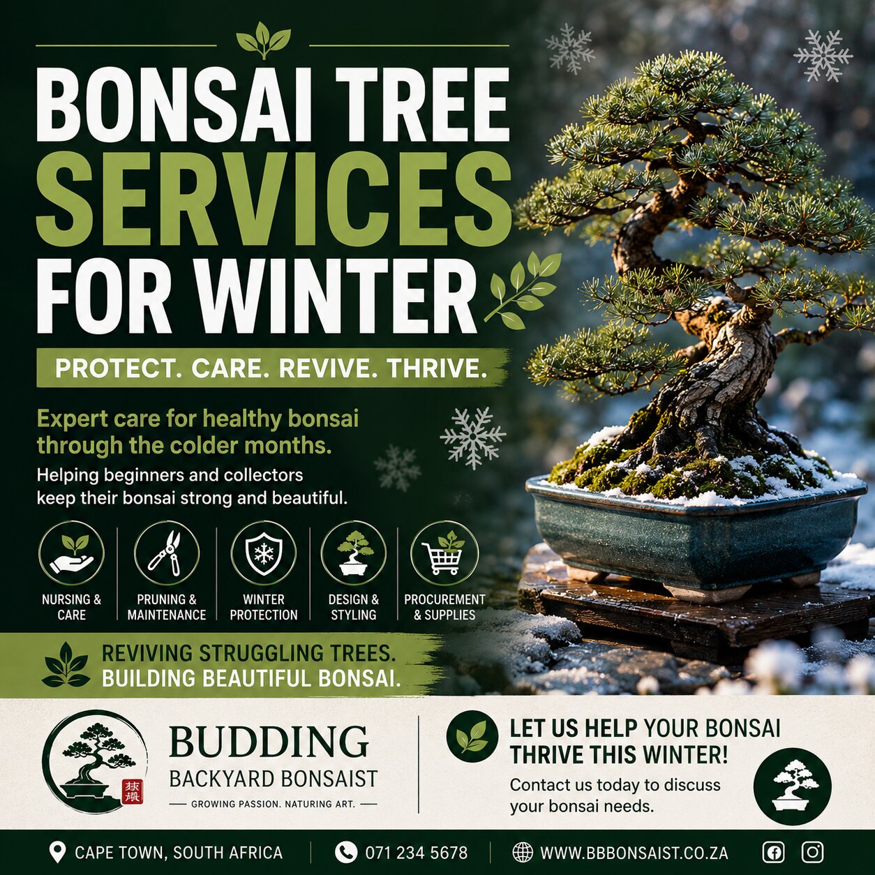Bonsai Tree Services For Winter: Let Us Help Protect And Revive Your Bonsai