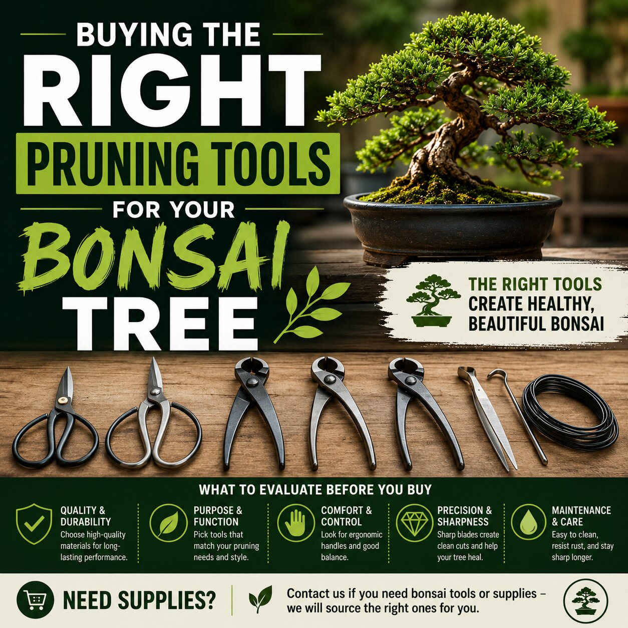 Buying The Right Pruning Tools For Your Bonsai Tree