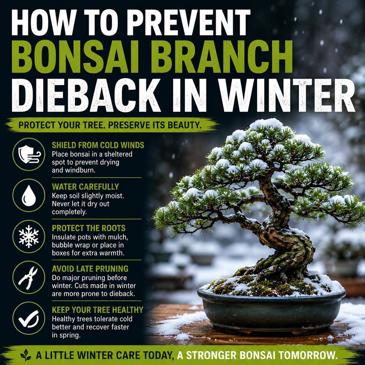 How To Prevent Bonsai Branch Dieback In Winter