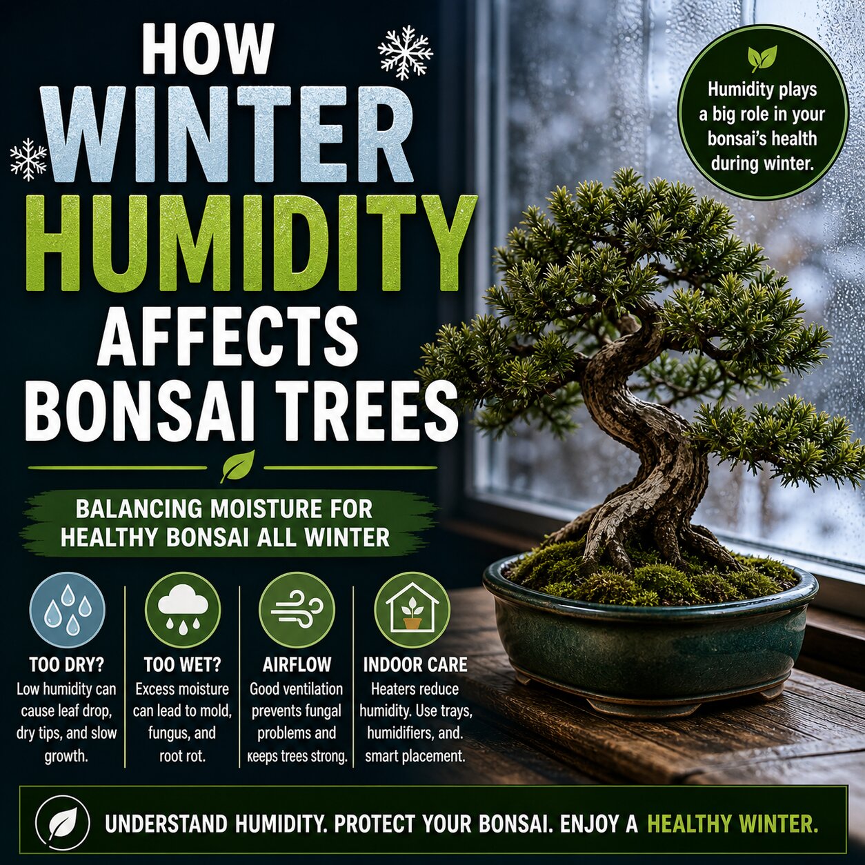 How winter humidity impacts bonsai tree health and care
