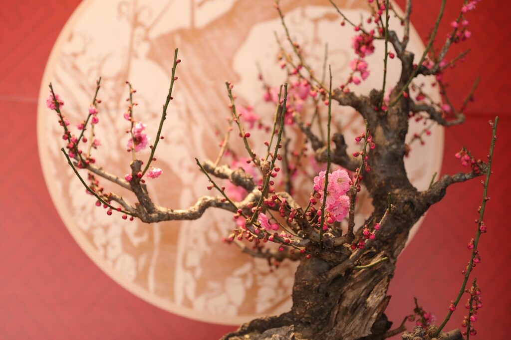 What Happens to Bonsai Trees in Winter
