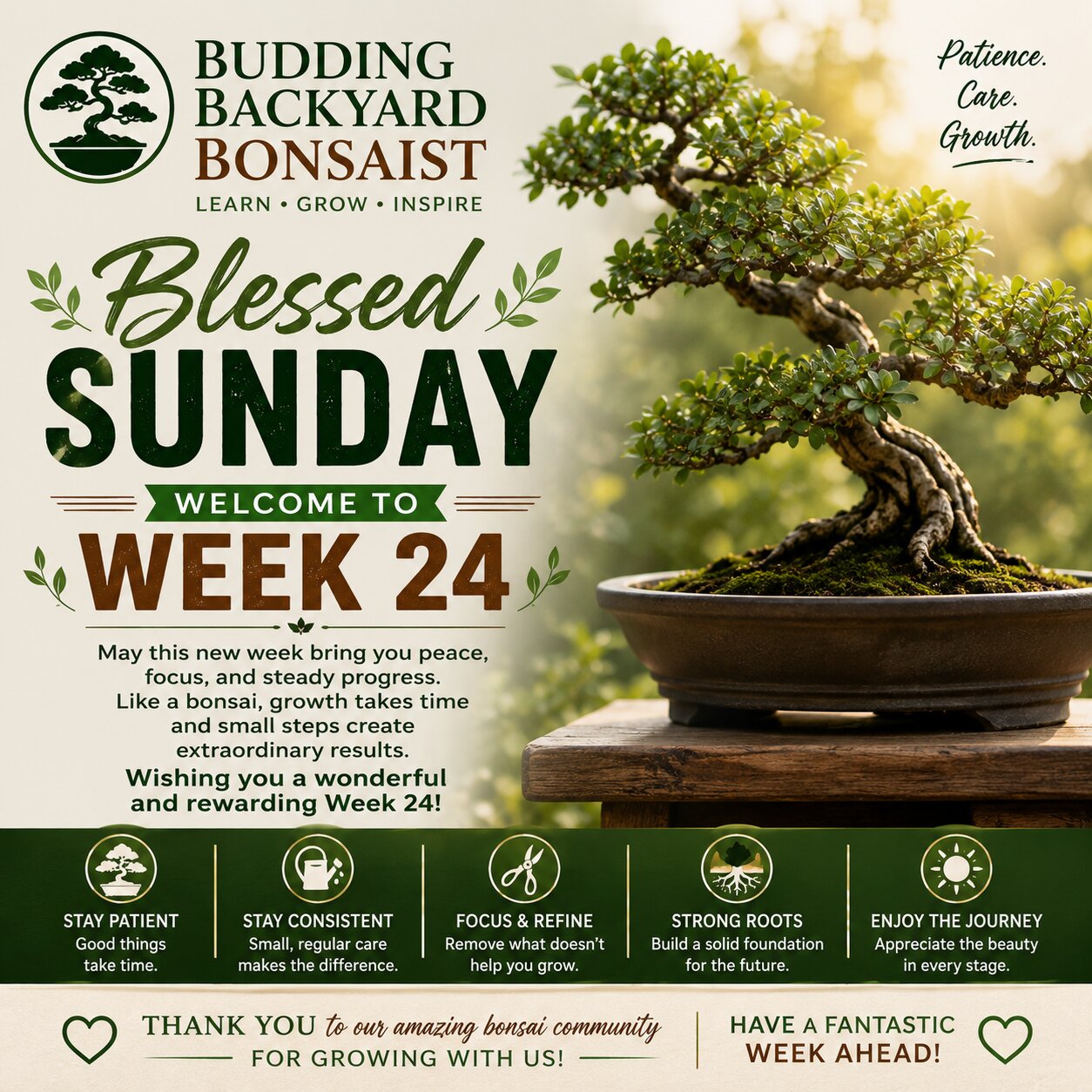 Blessed Sunday Week 24