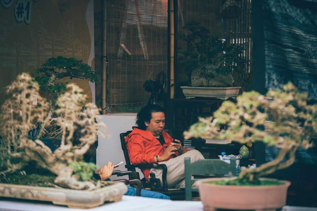Bonsai Consulting Service for Enthusiasts and Collectors 