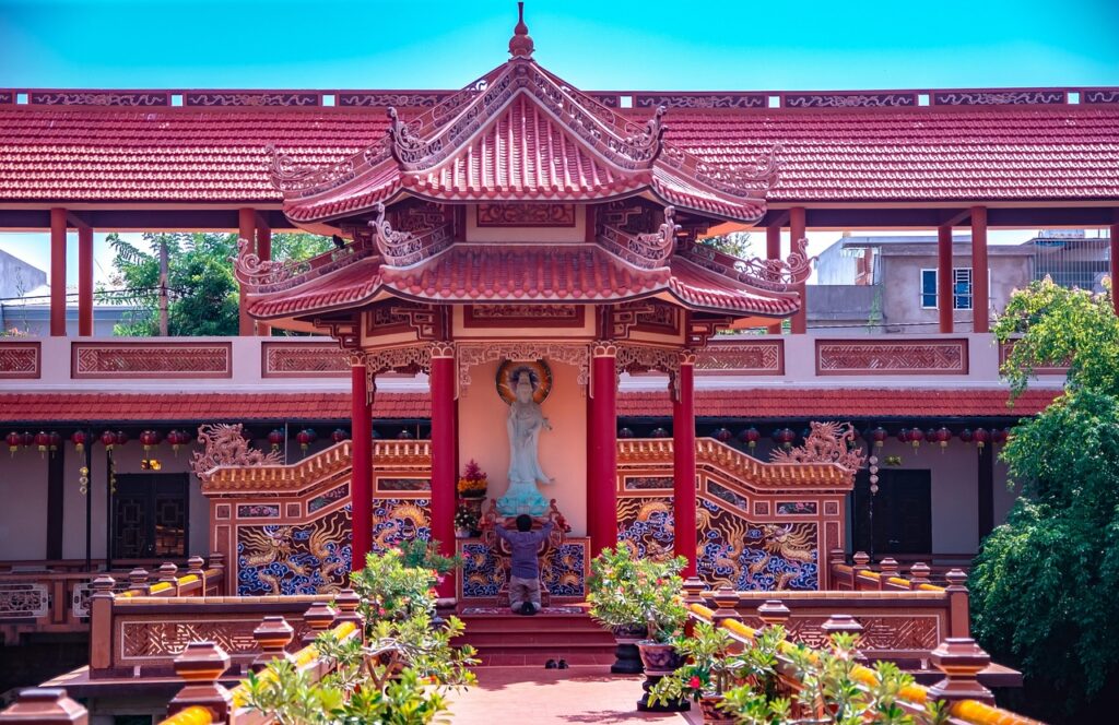 Bonsai Consulting Service for Enthusiasts and Collectors 