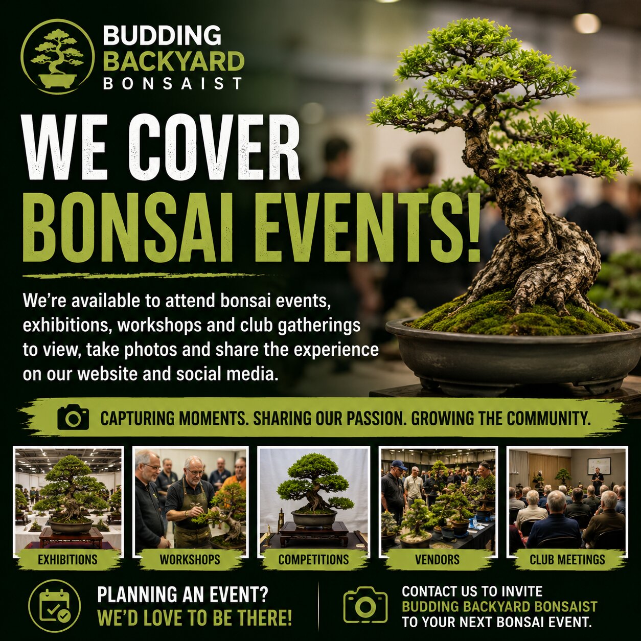 Bonsai Event Coverage Services for Clubs, Exhibitions, and Shows