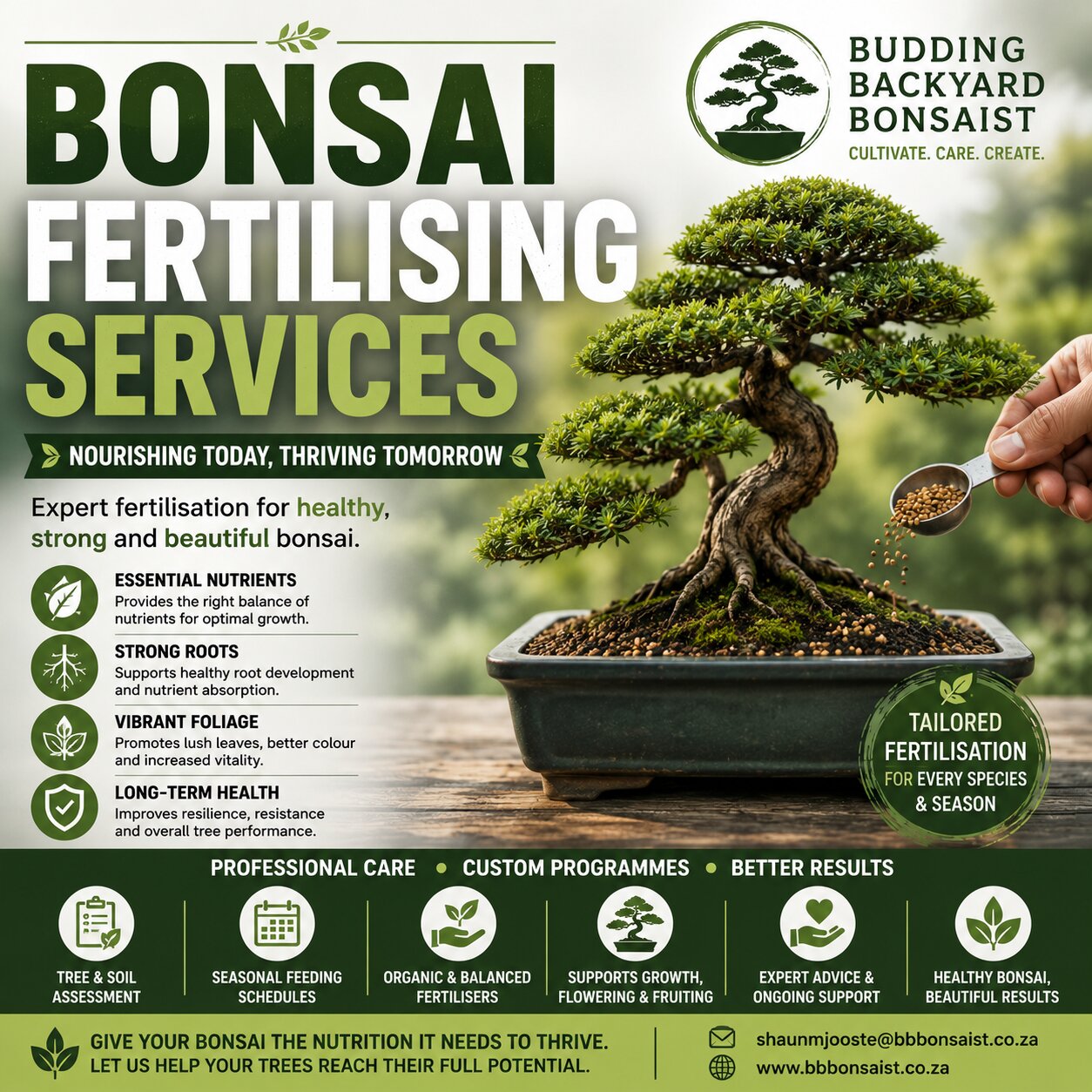Bonsai Fertilising Services for Healthy and Thriving Trees
