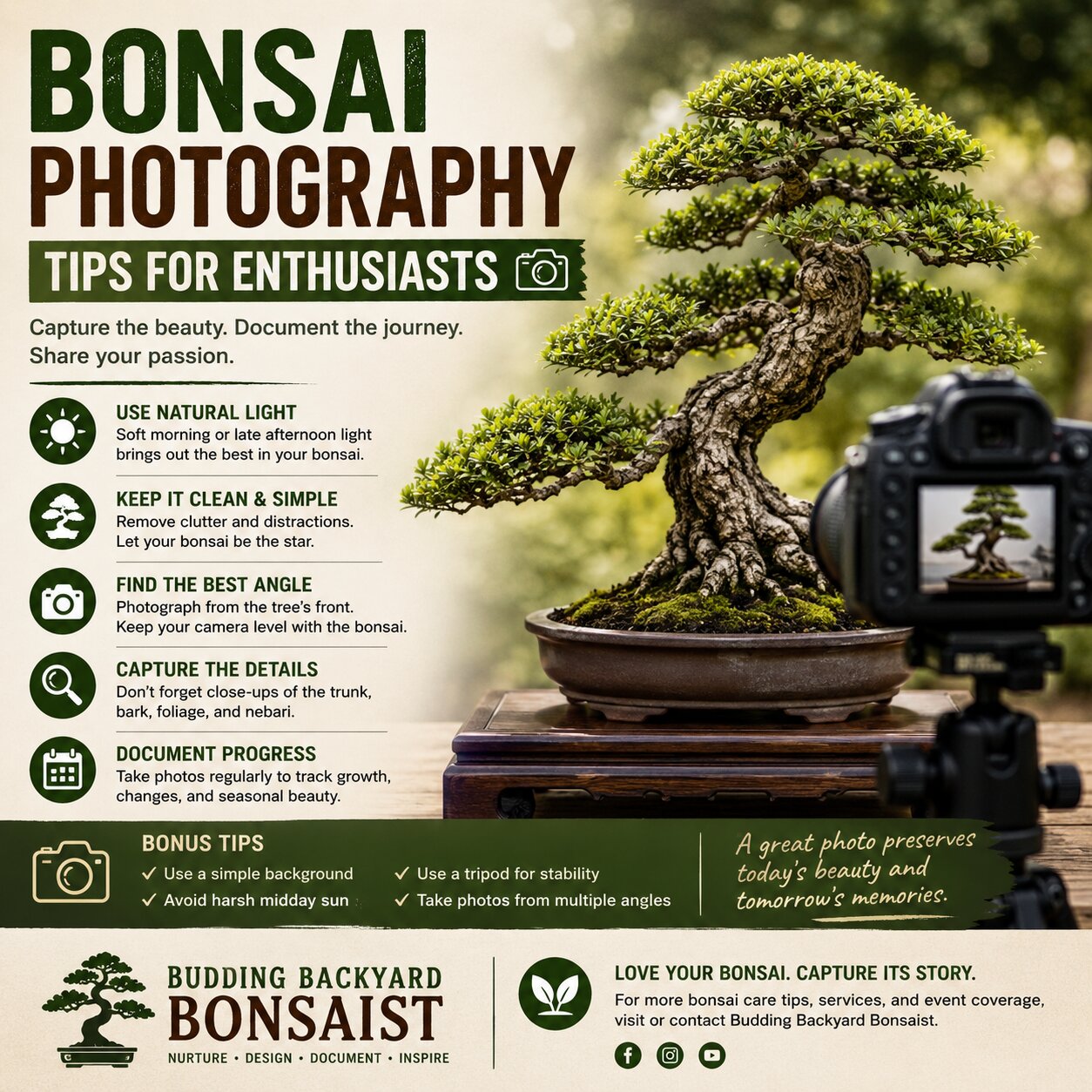 Bonsai Photography Tips for Enthusiasts