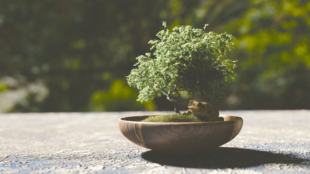 Bonsai Procurement Services