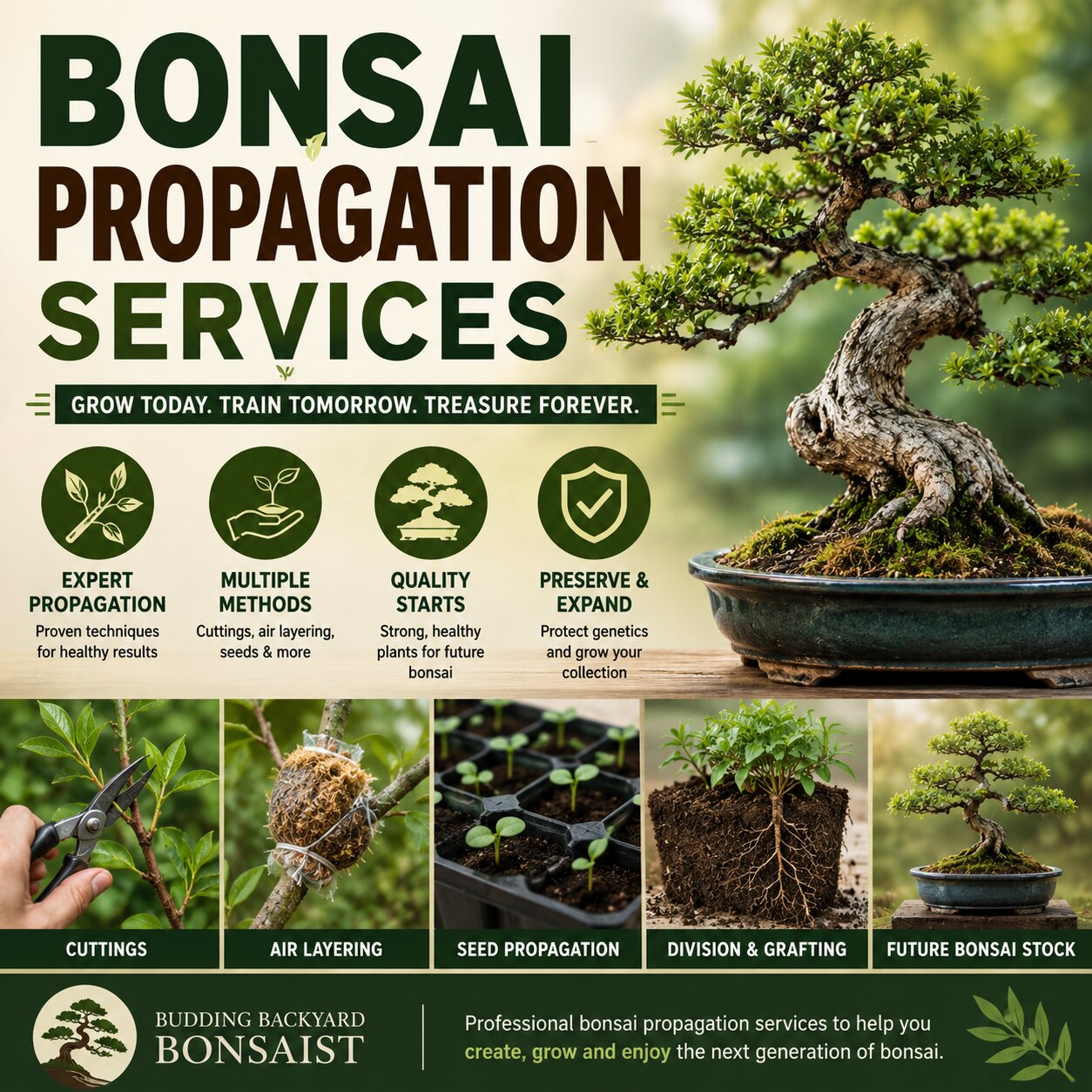Bonsai Propagation Services