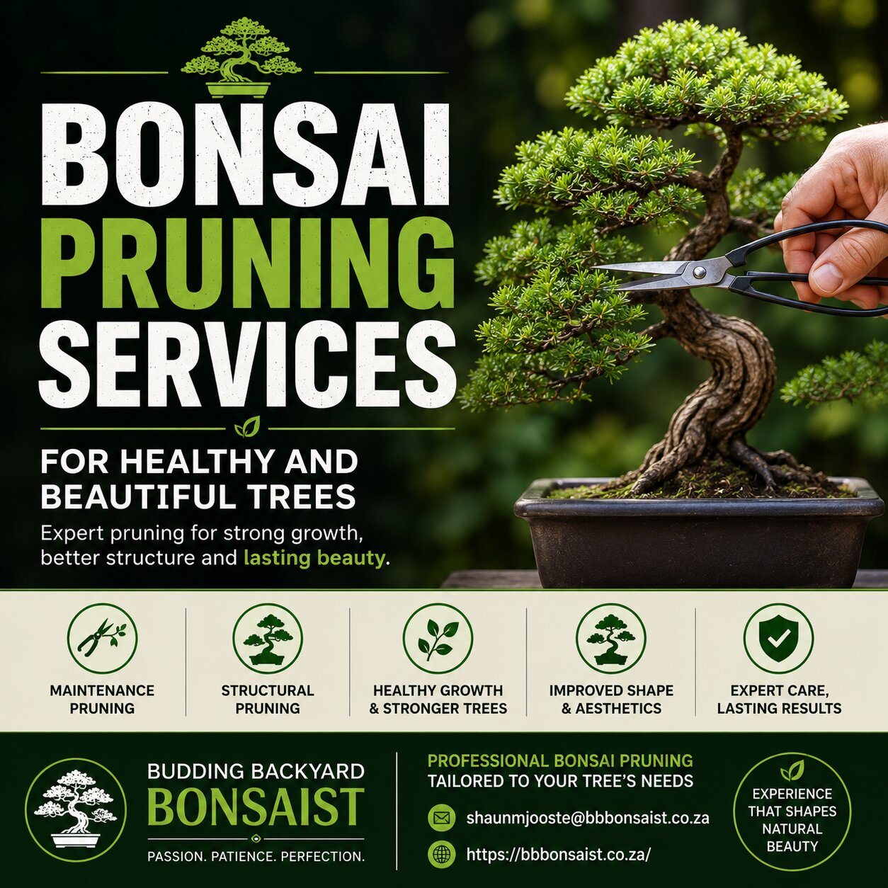 Bonsai Pruning Services For Healthy And Beautiful Trees