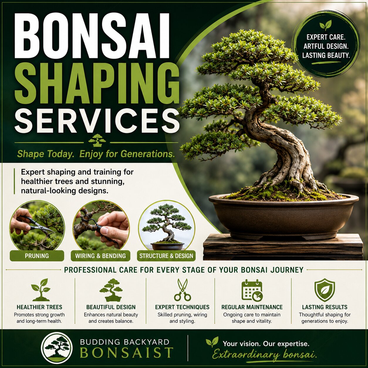 Bonsai Shaping Services for Beautiful and Healthy Trees