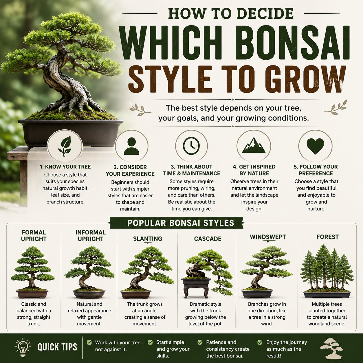 How To Decide Which Bonsai Style To Grow