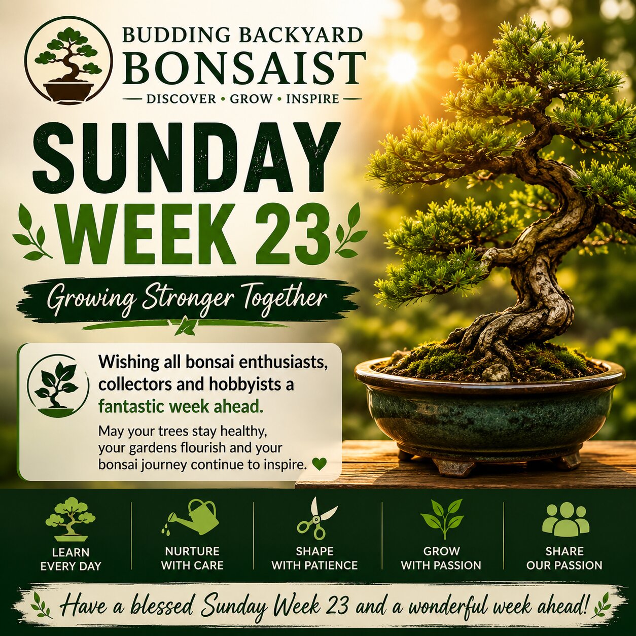 Sunday Week 23 Growing Stronger Together