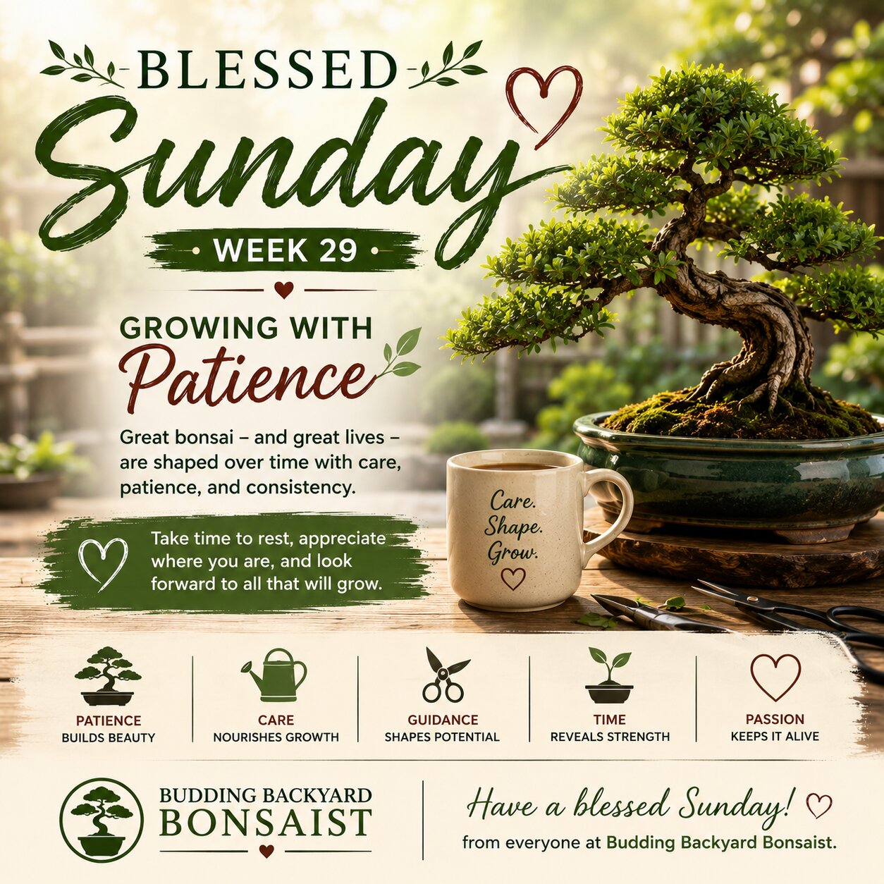 Blessed Sunday Week 29