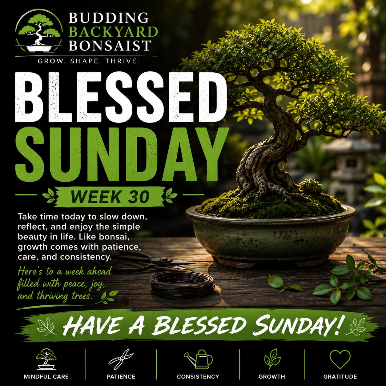 Blessed Sunday Week 30