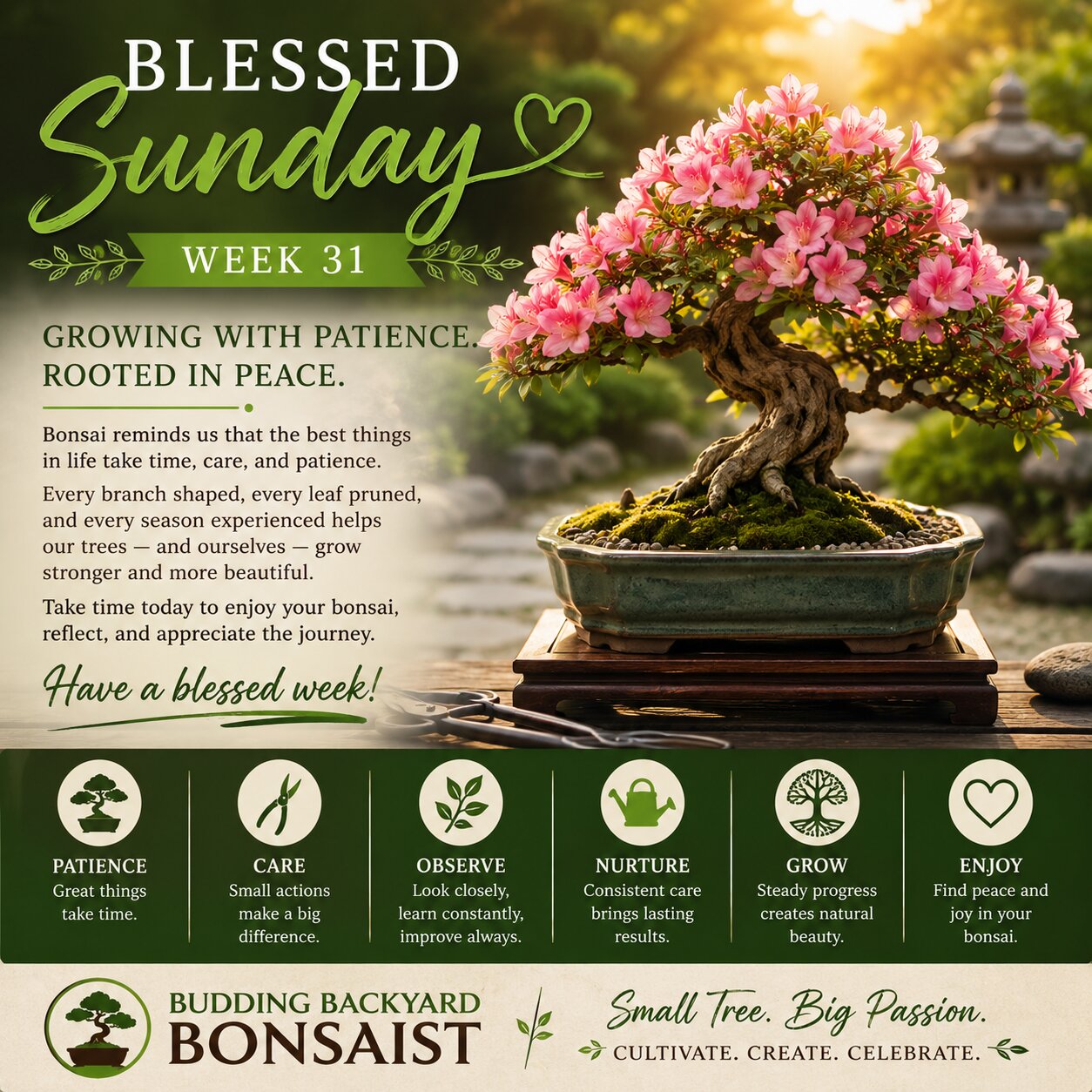 Blessed Sunday Week 31