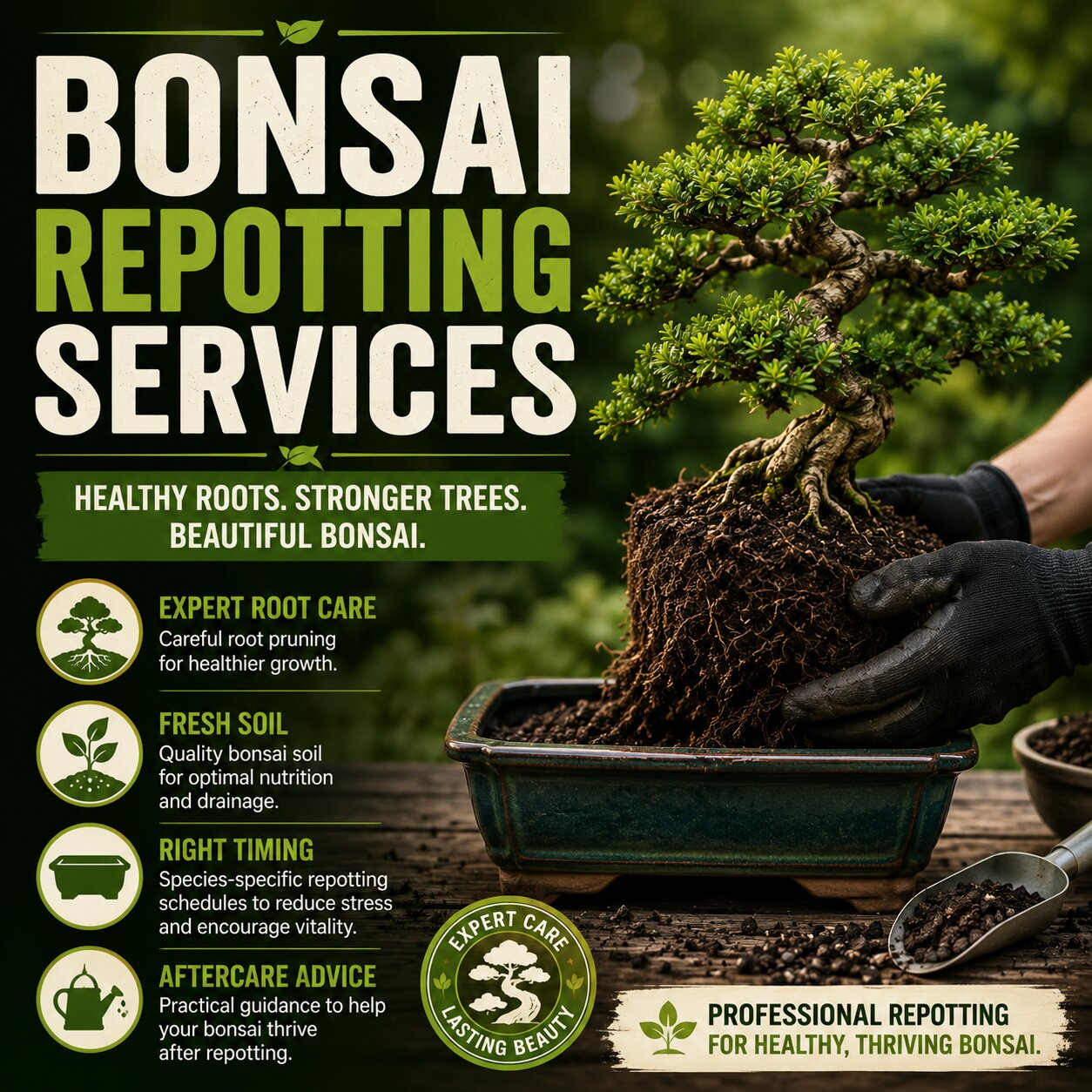 Bonsai repotting services