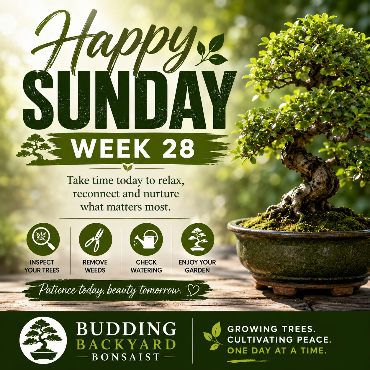 Happy Sunday Week 28